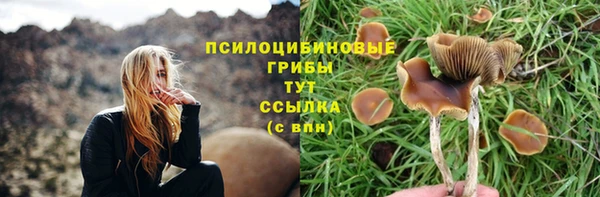 PSILOCYBIN Горно-Алтайск